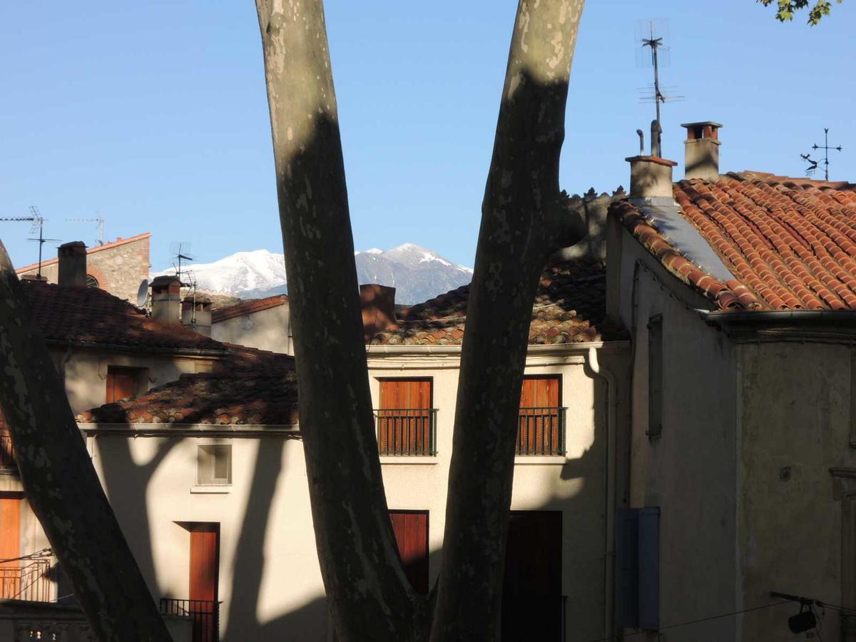 Hotel Des Arcades Céret Екстериор снимка